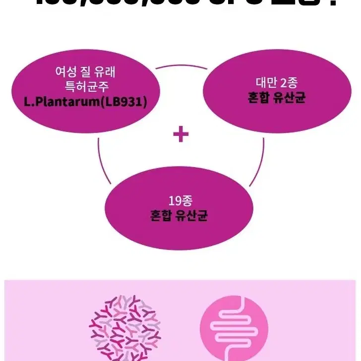 질유산균 프로바이오틱스 30포