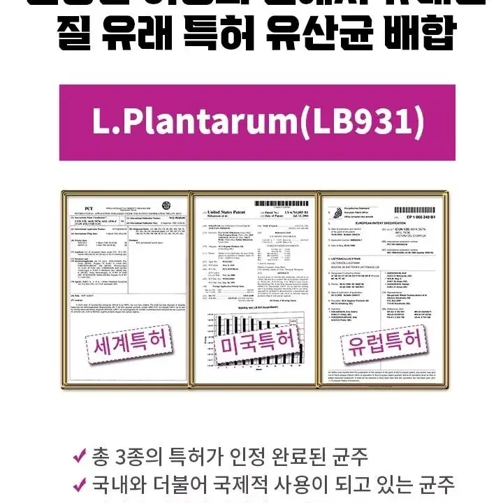 질유산균 프로바이오틱스 30포