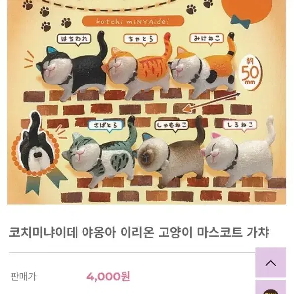 코치미냐이데 야옹아 이리온 고양이 가챠 피규어