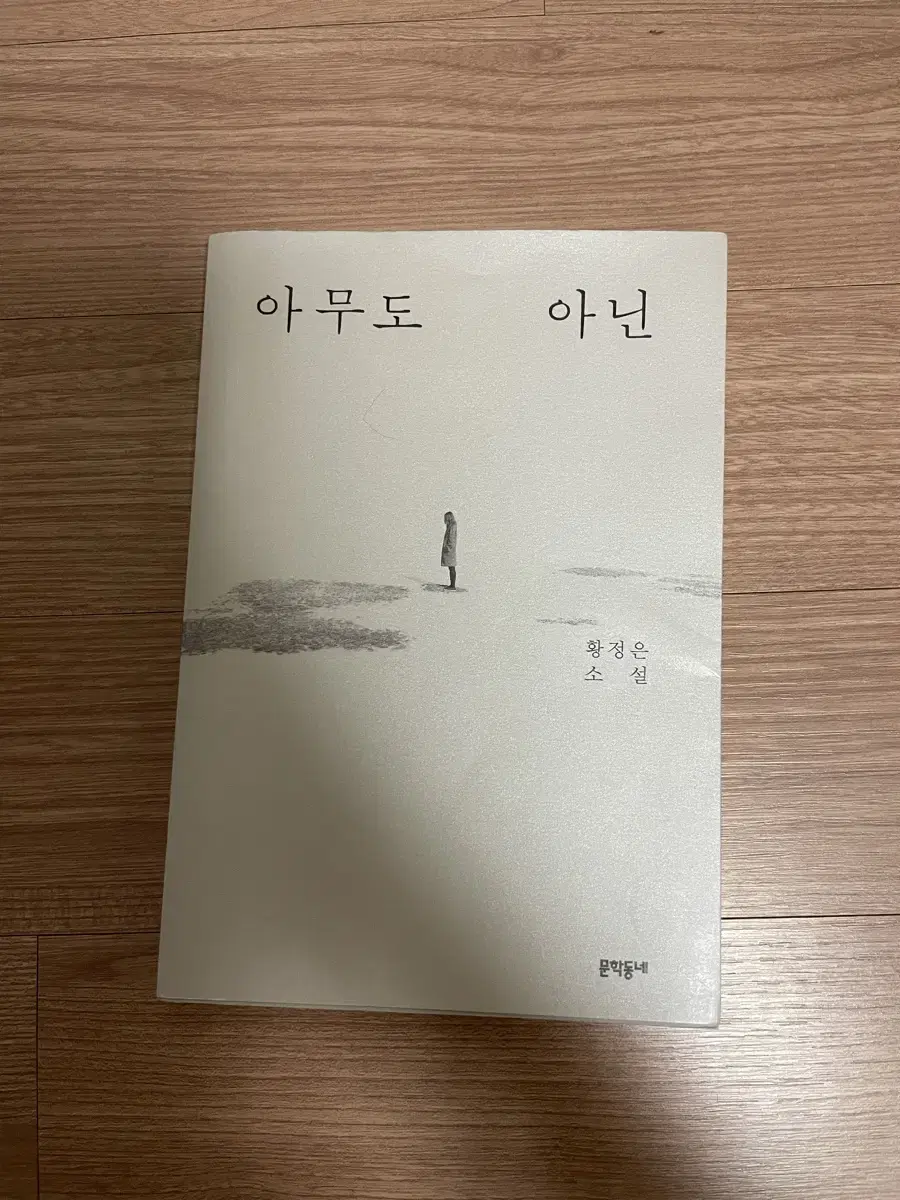 아무도 아닌 황정은 소설책