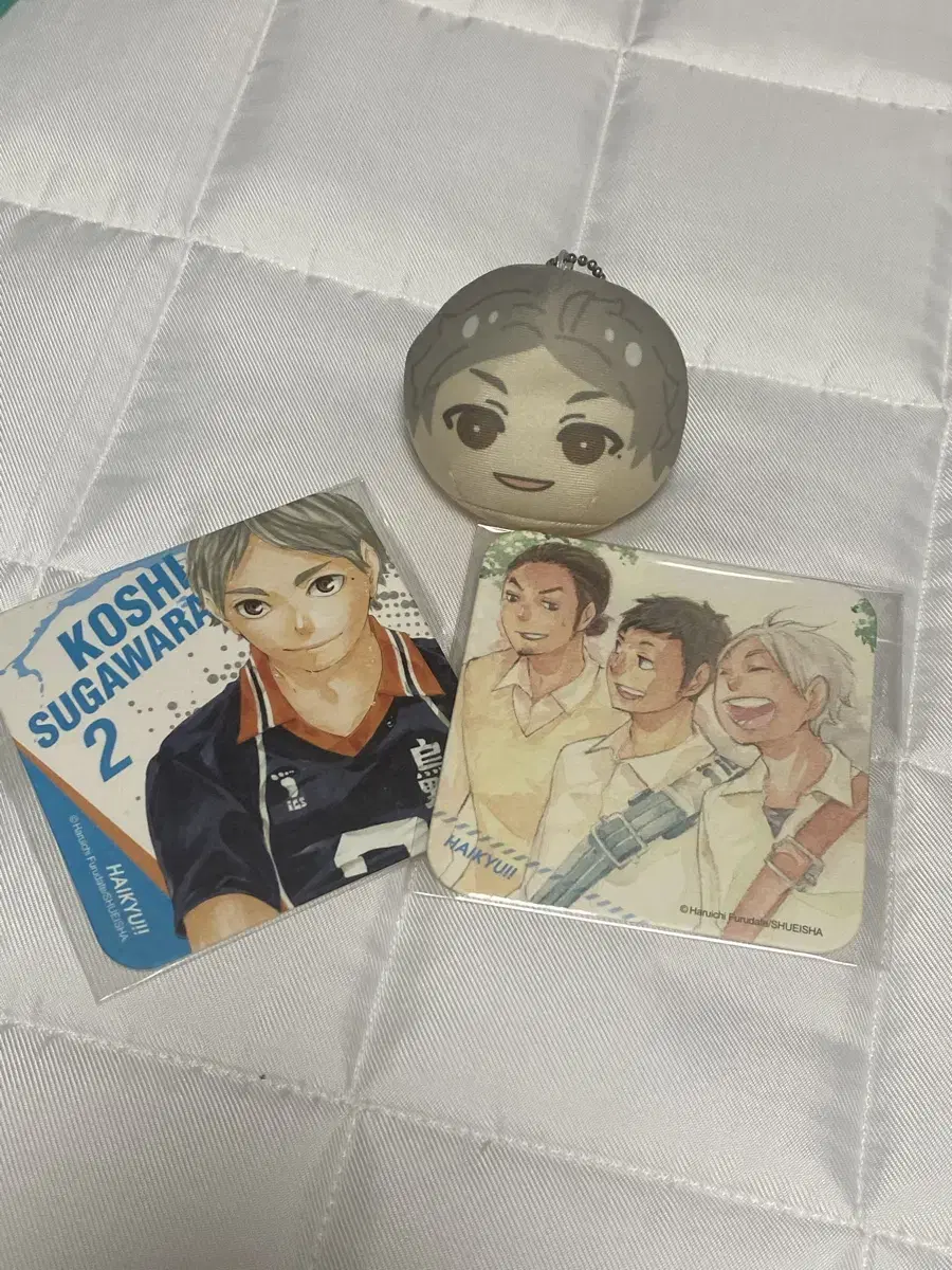 Haikyuu Sugawara Koushi Manju, Coaster in Bulk