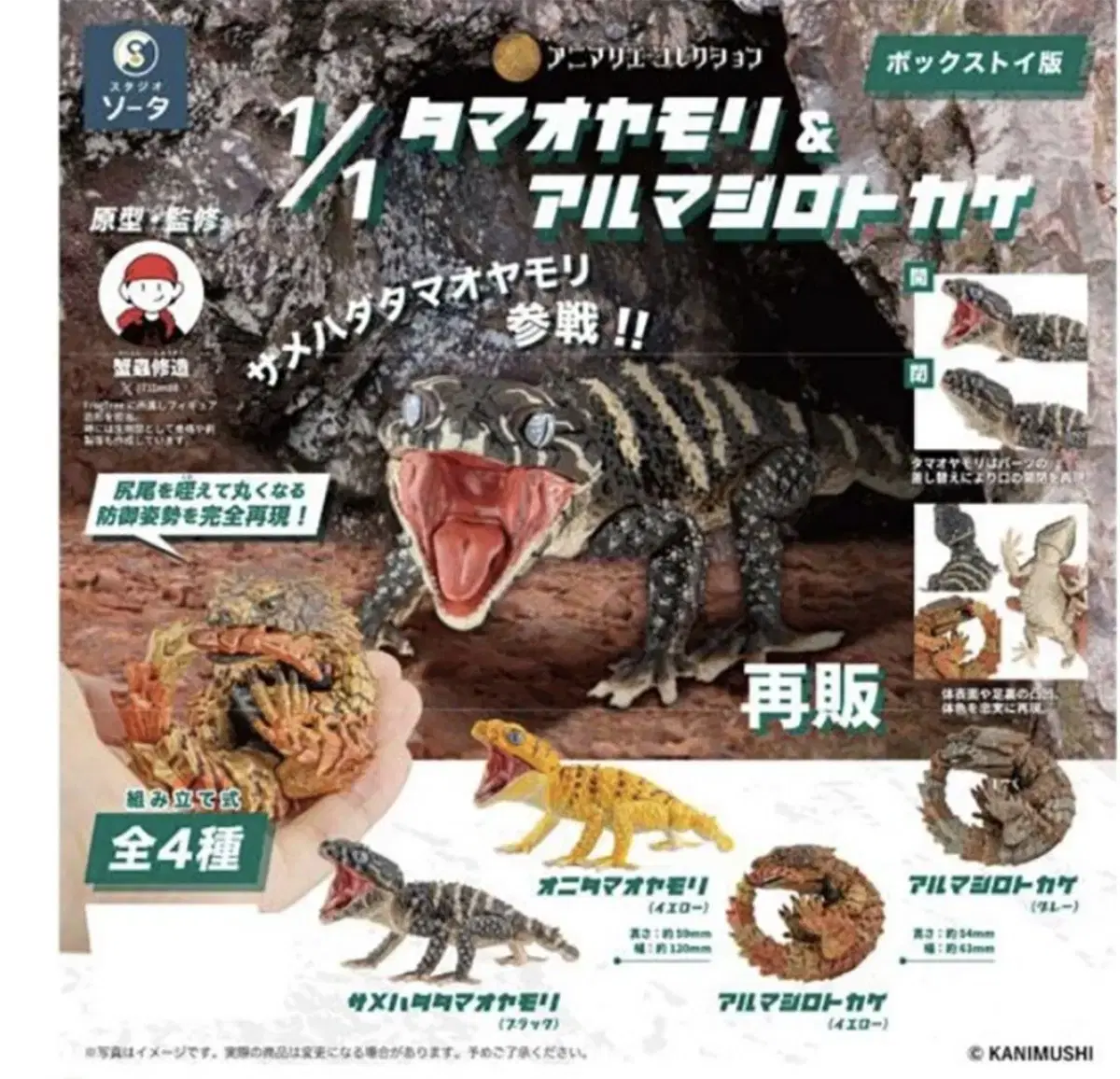 Black-tailed Gecko and Armadillo Lizard Minifigures Capsule Toy Gacha Figures Japan