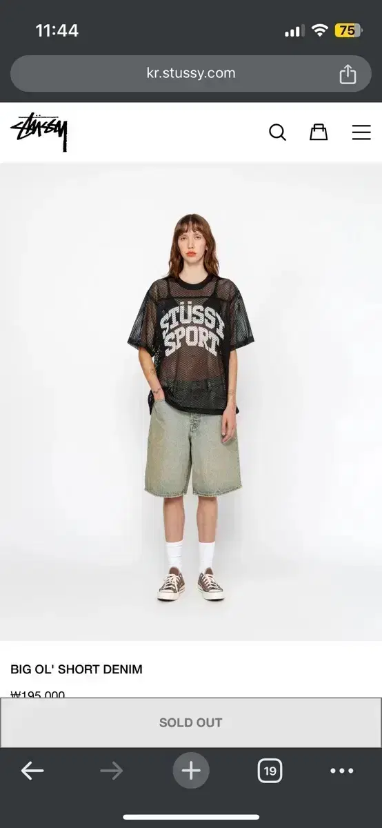 Stussy Big All Shorts Sandwich 32