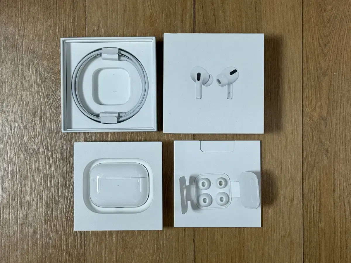 AirPods Pro MaxSafe