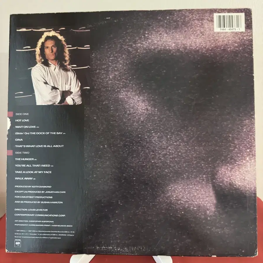 Michael Bolton  - The Hunger(LP)