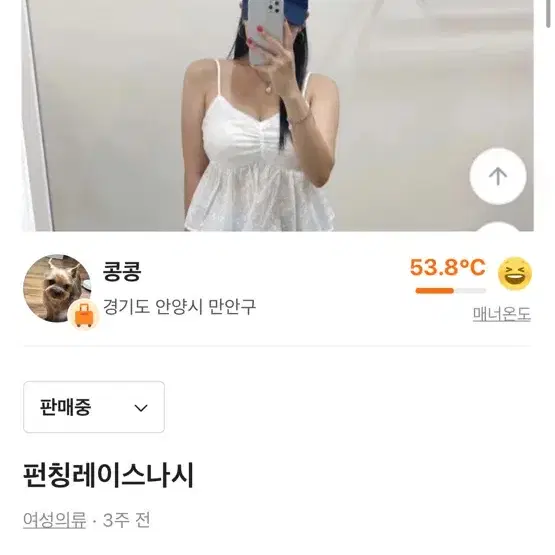 레이스나시