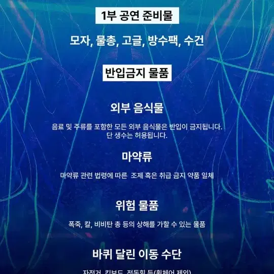 8월17일 썸머 워터 순천콘서트(불꽂놀이)