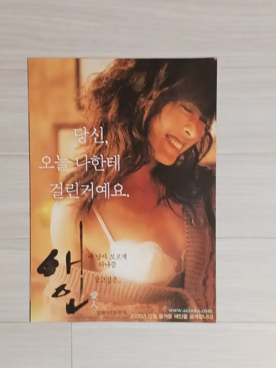 성현아 조동혁 애인 (2005년)전단지(2단)