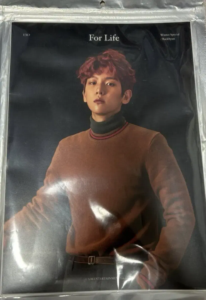 exo baekhyun fourlife a4 poster sell me