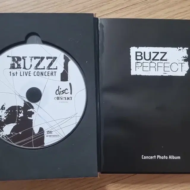 BUZZ 1st LIVE CONCERT 앨범