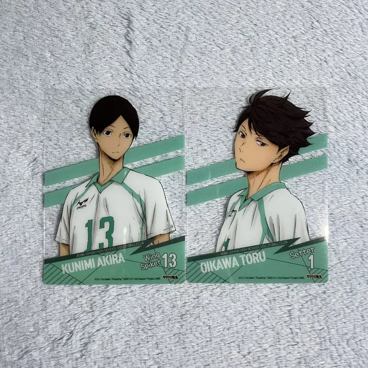 Haikyuu Talent and Sense pre-order benefit Transparent photocard bulk Sell