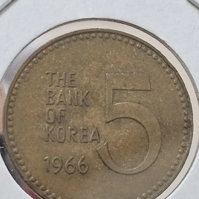 1966년 5주 특년  준미