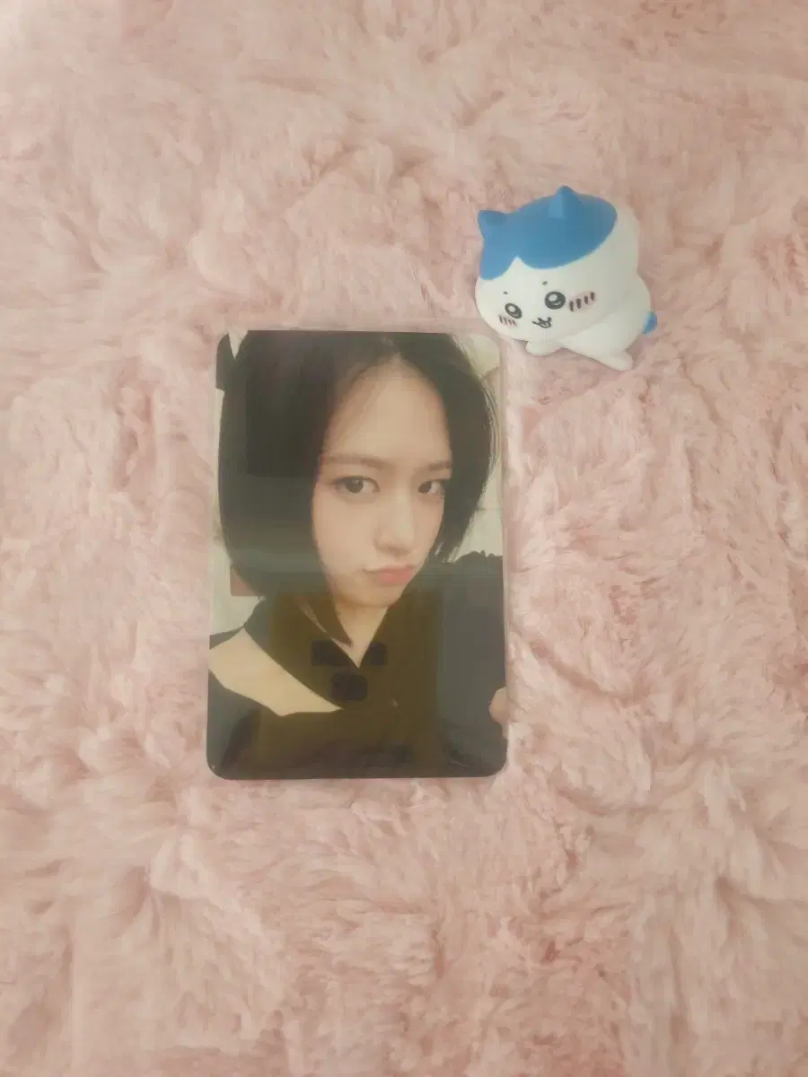 Ahn Yujin with muu ld photocard WTS