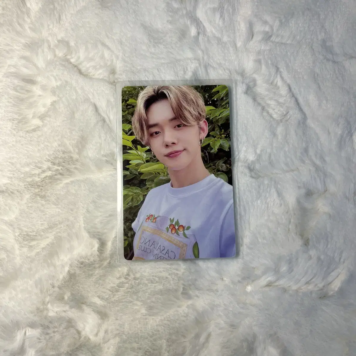 TXT Midsummer Tangerine Palm version yeonjun photocard WTS