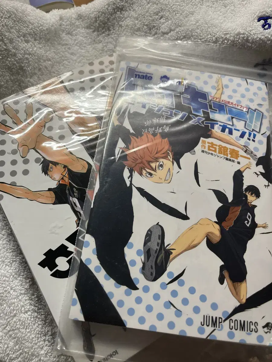 Haikyuu Guidebook