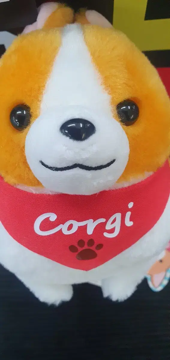 corgi 강아지인형(일본정품)