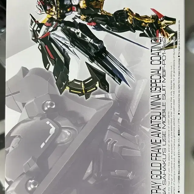 RG ASTRAY AMATSU MINA[SPECIAL COATING]