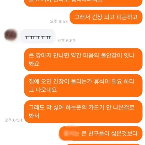 펫타로 봐드려요(질문당2000원)