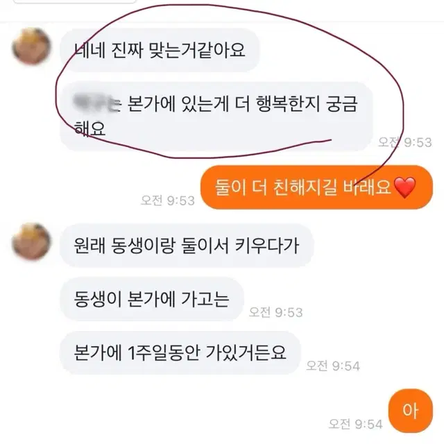 펫타로 봐드려요(질문당2000원)