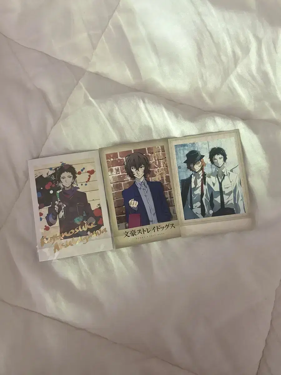 문스독 파샤 레어파샤 다자이 아쿠타가와 츄야 지류 문호스트레이독스