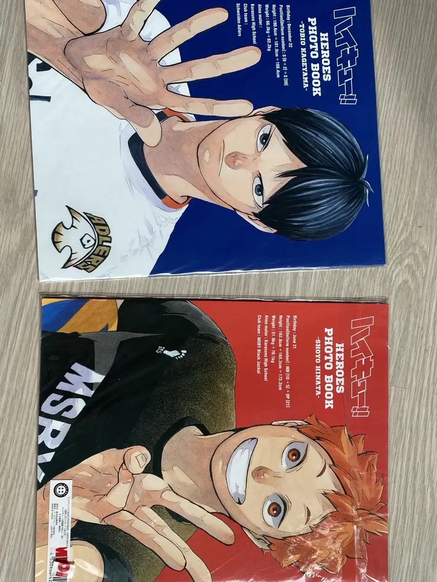 Haikyuu unsealed photobooks for sale (official)