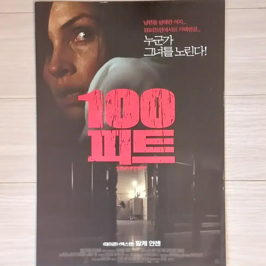 팜케얀센 바비카나베일 100피트(2008년)전단지