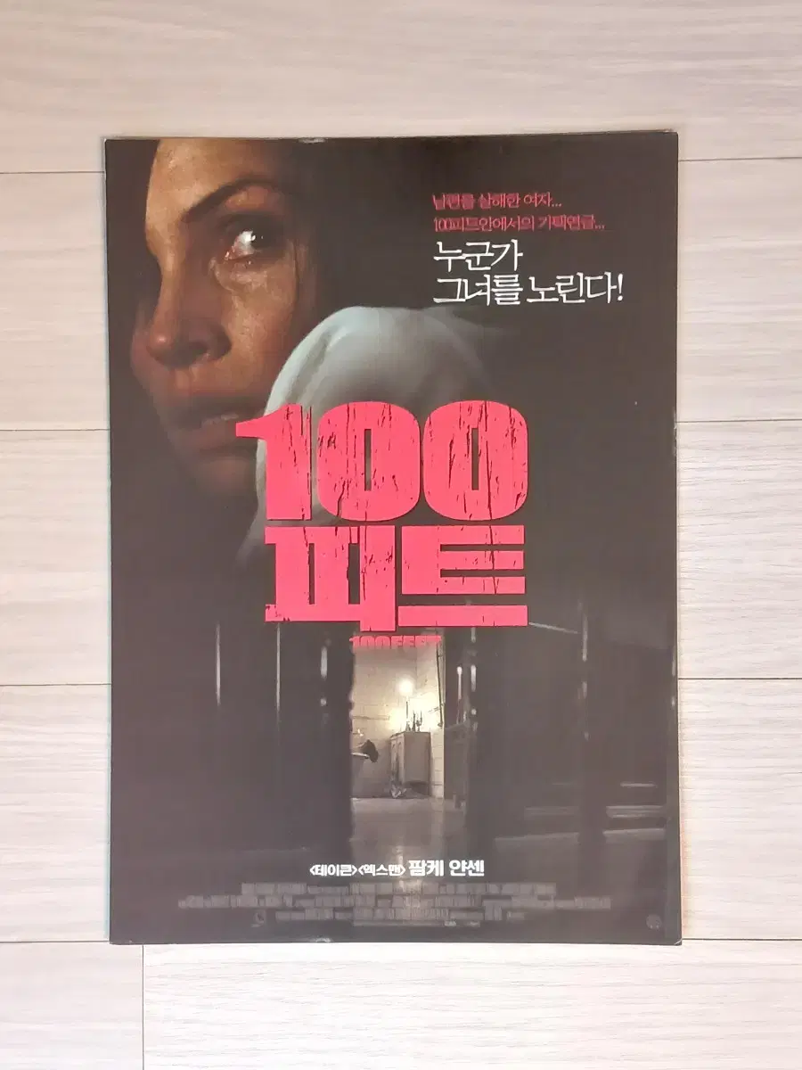 팜케얀센 바비카나베일 100피트(2008년)전단지