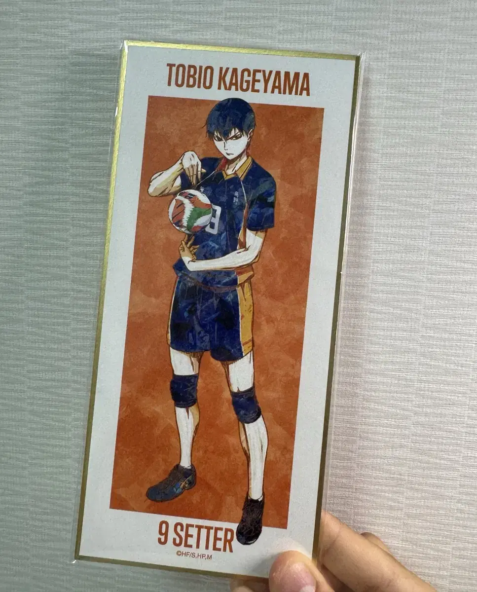 zuu verkaufen) Kageyama Tobio Long Color Paper/Postcard Cost WTS