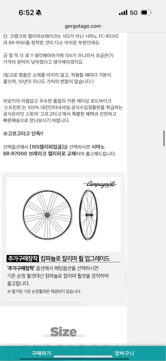 비앙키 스프린트 2023년식 500사이즈