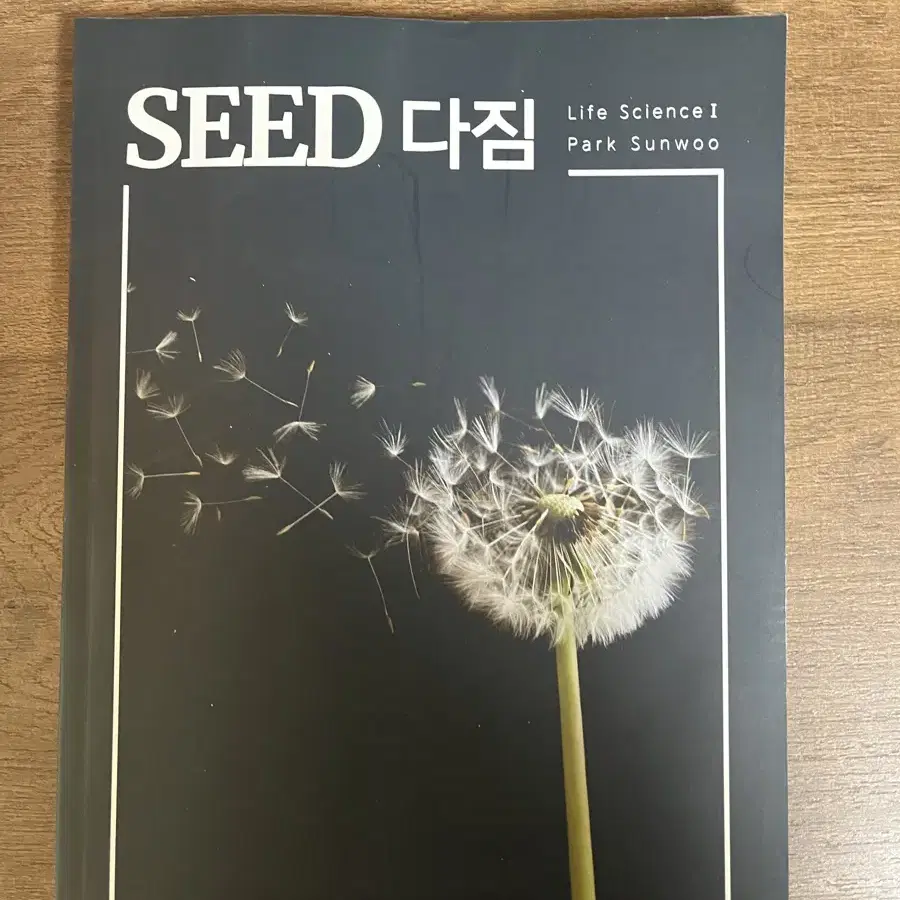 박선우 seed + root 풀세트 + seed 노트