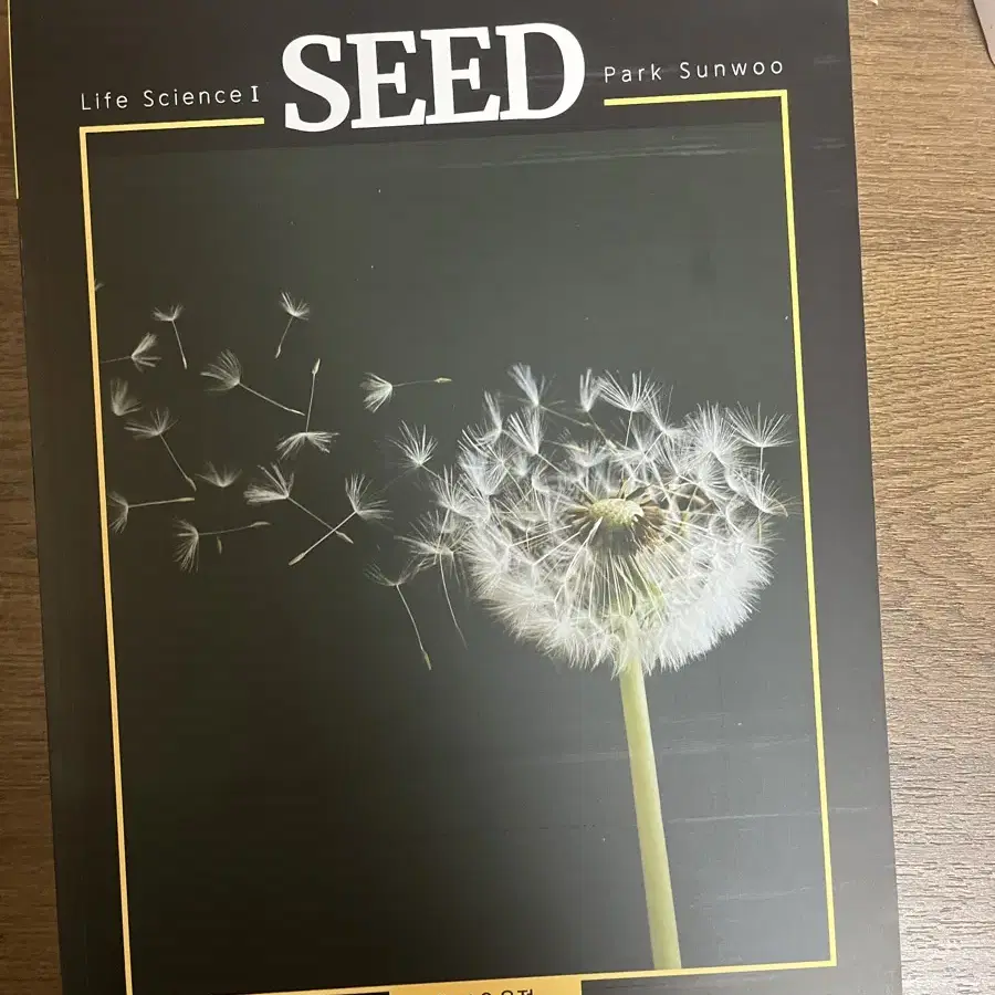 박선우 seed + root 풀세트 + seed 노트