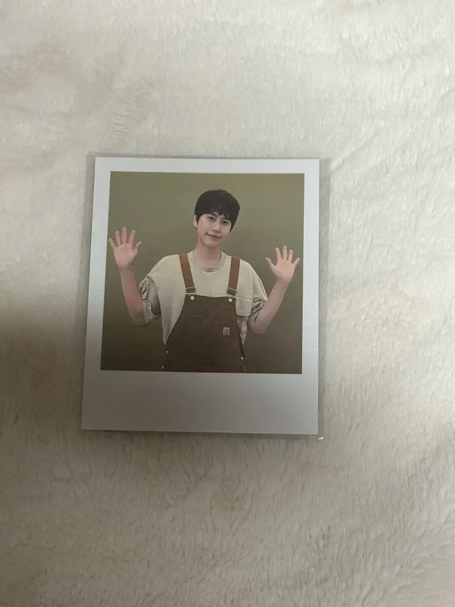 Super Juniors kyuhyun Shoojoo Photo Card photocard pola 2024 seasons greetings Season's Greetings