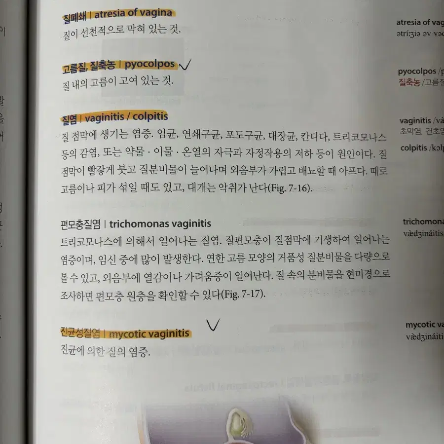 무료배송) 아카데미아 제3개정판 의학용어