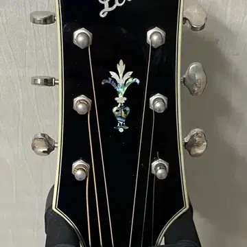 Loar LH-250 にぎにぎし