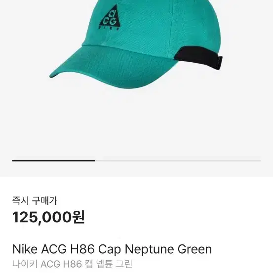 나이키 ACG H86 캡 넵튠 그린 모자