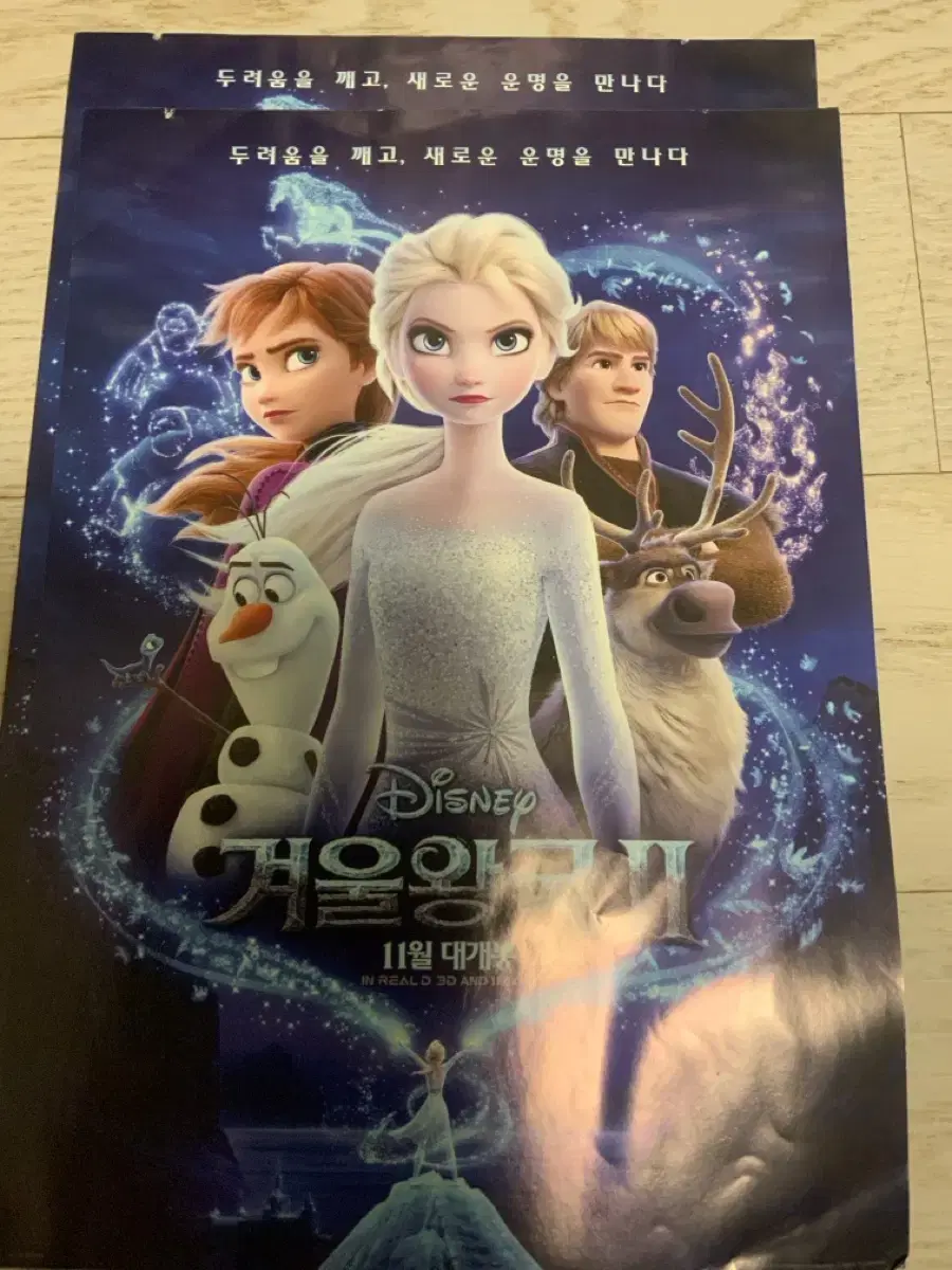 Frozen 2 Flyer Pamphlet Poster