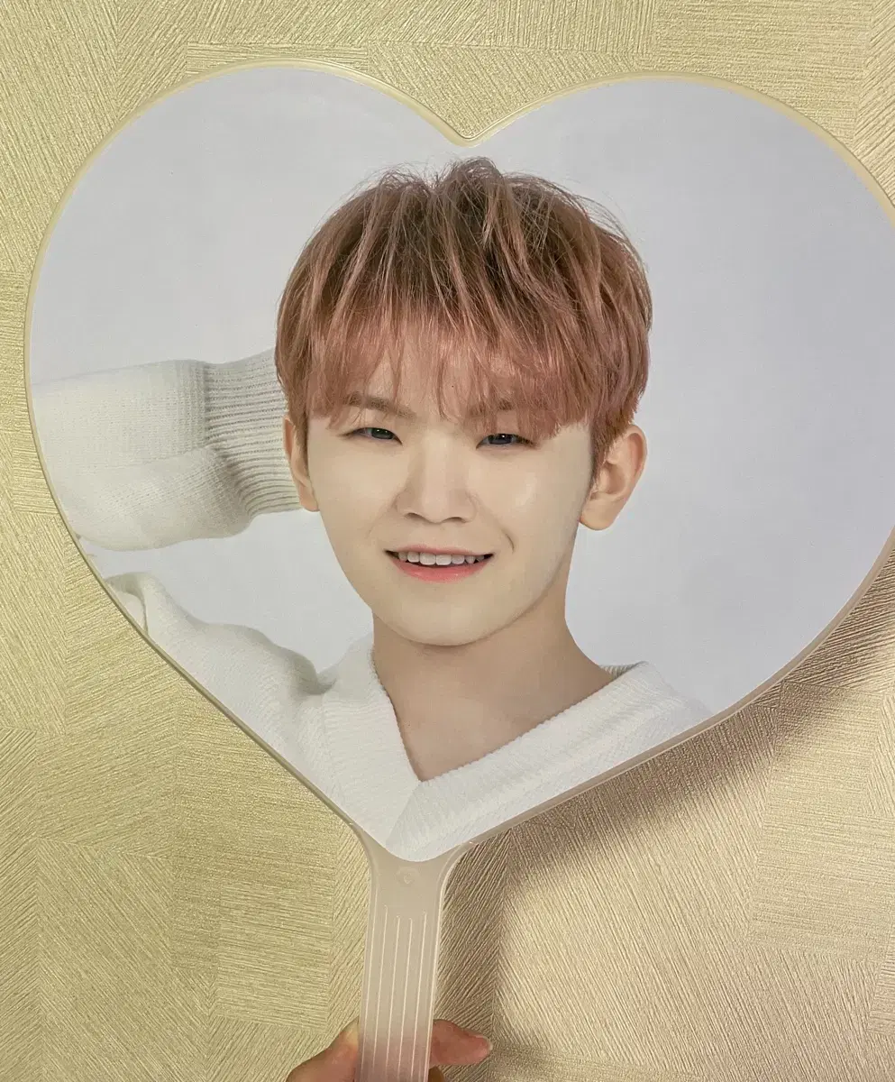 Seventeen woozi Caratland Wuchiwa