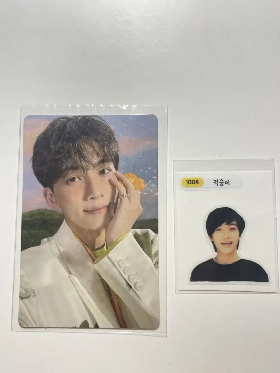 Seventeen jeonghan photocard (also for putting in a bandeau seal)