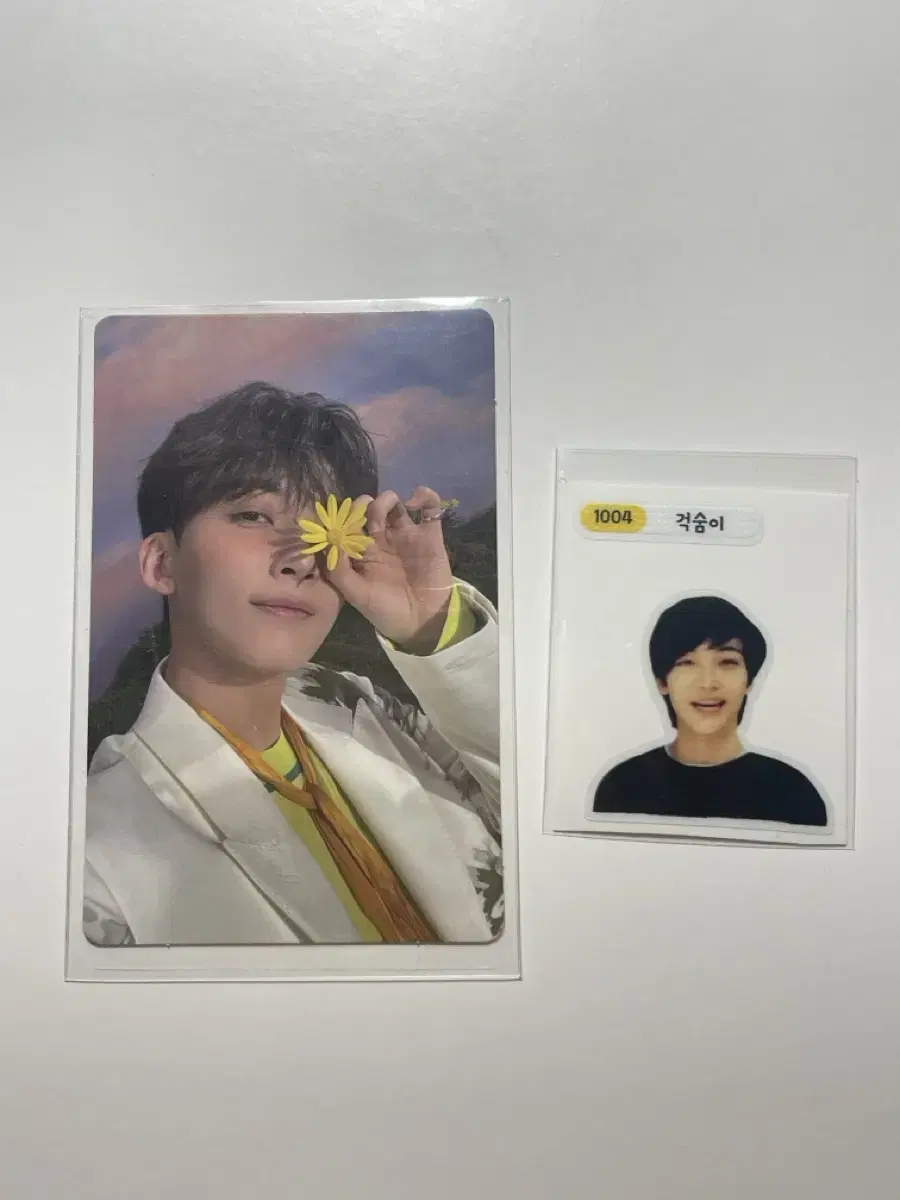 Seventeen jeonghan photocard (also for putting in a bandeau seal)