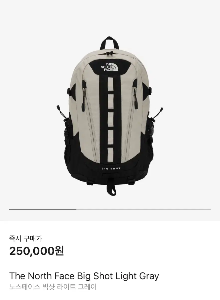 The North Face Big Shot Light Gray Backpack