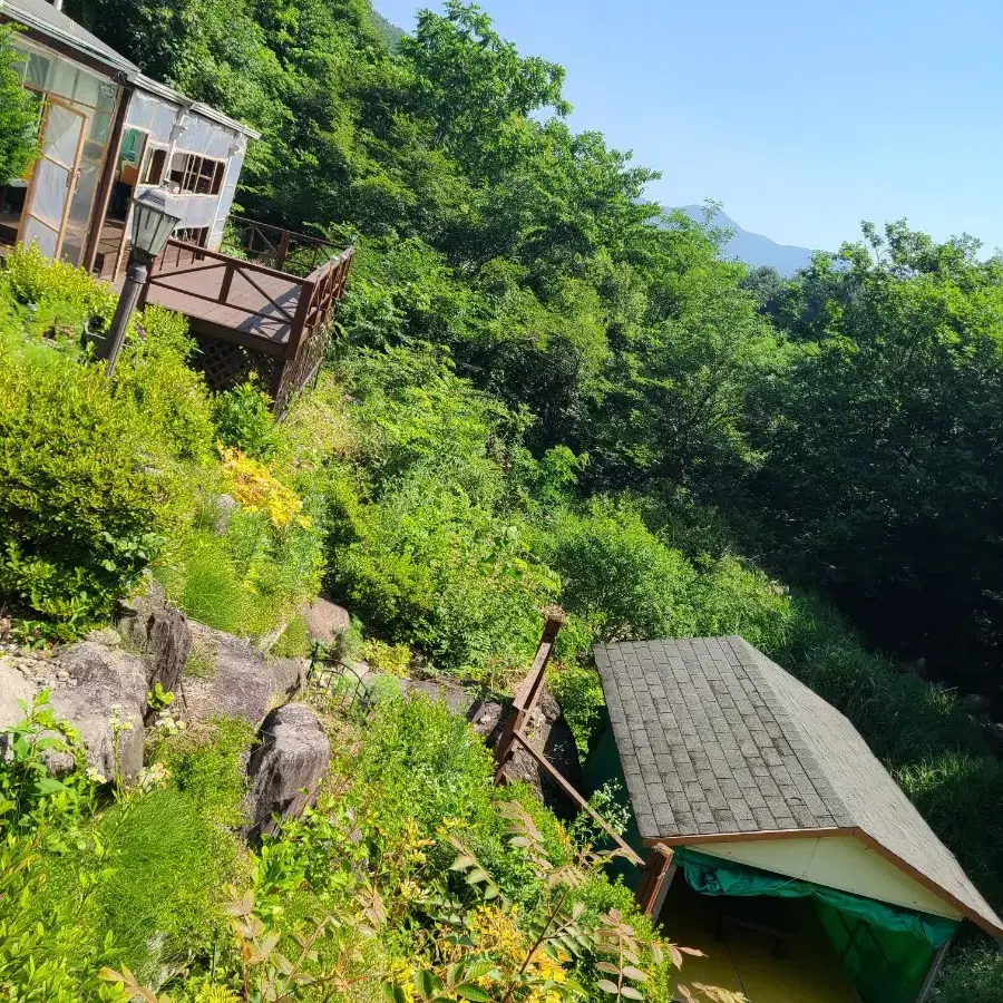 당일 숙박 계곡 숯불 더위식히고 힐링