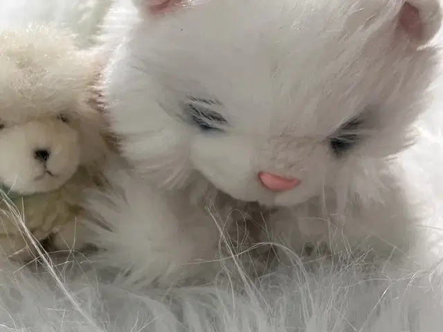 조이풀 고양이,강아지 푸들 인형