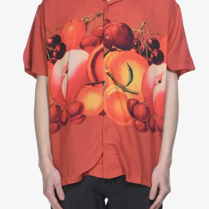 Obey fruit summer shirt 오베이 하와이안 셔츠 (XL)