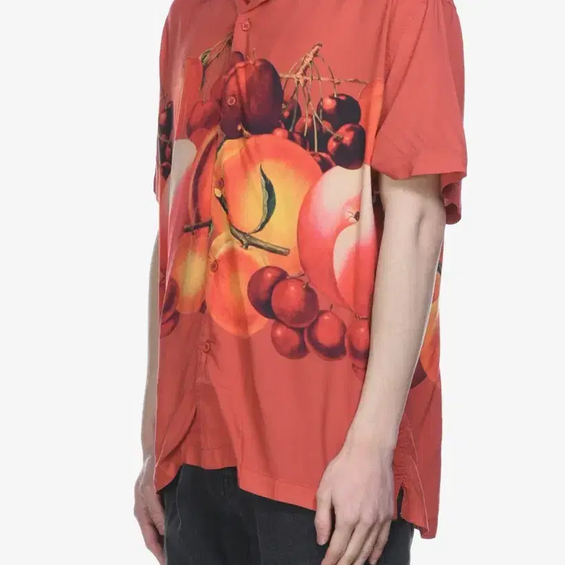 Obey fruit summer shirt 오베이 하와이안 셔츠 (XL)