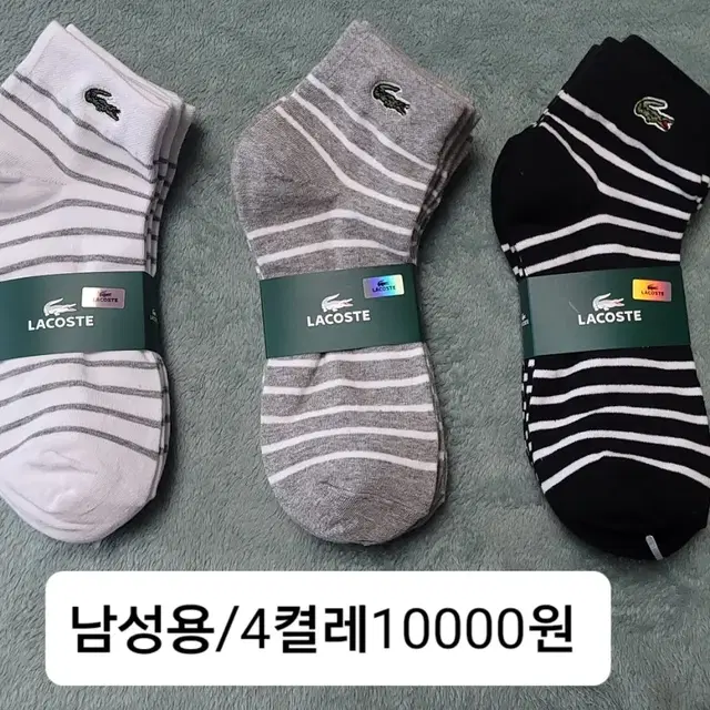 라코스테 데일리 양말