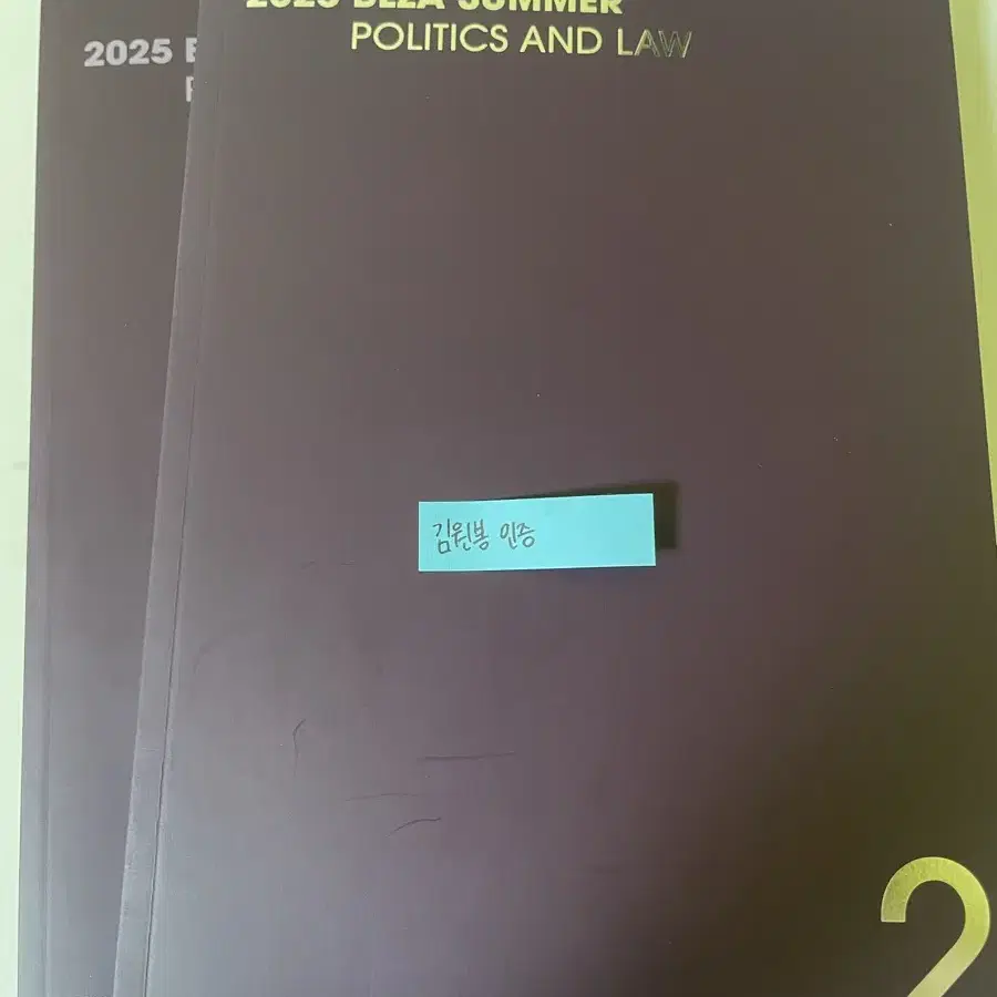 대성마이맥 최여름 정치와 법 기출편 교재 2025