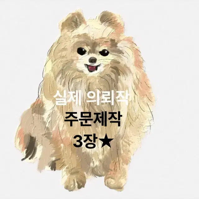 3장) 고양이,강아지 반려동물 그림그려드려요 |커미션 일러스트