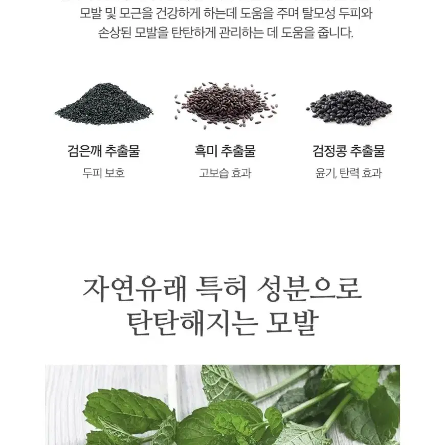 LBB 미라클 헤어 토닉 100ml