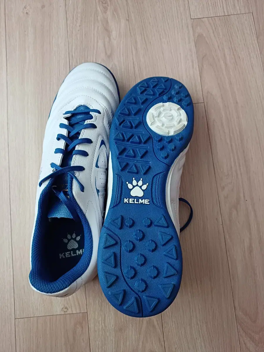 KELME 풋살화 265