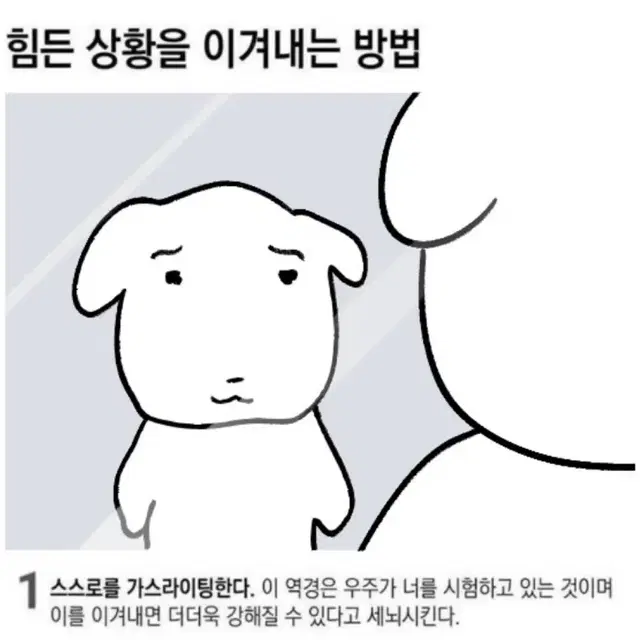 김기현 기출생각집 4점 수2 확통 구합니당